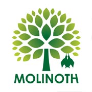 「MOLINOTH」ができるまで