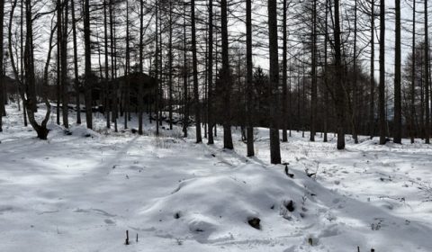 女の神山の家