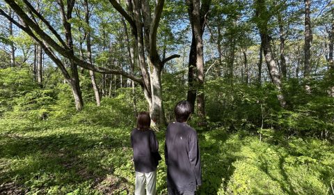 移住計画　ー森暮らしー