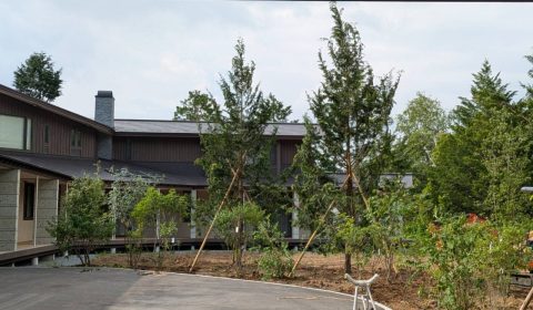 機能的植栽　ー奥行感を創出するー