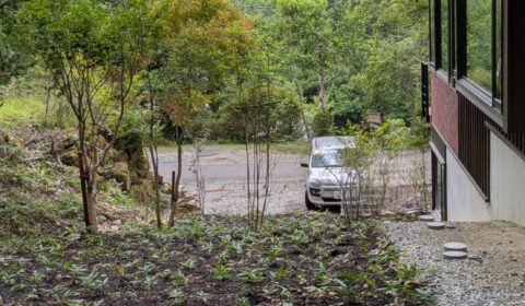 機能的植栽　ー土壌保護・クマザサー