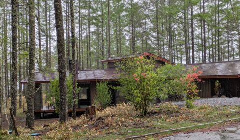 女の神山の家　植木植栽