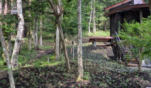 三隻の舟Ⅰの緑化