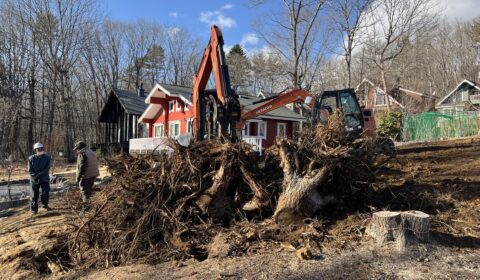 伐採抜根工事