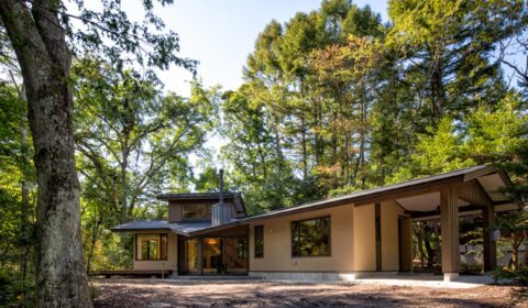 Mimicry Style　ーMS-3の原型ー