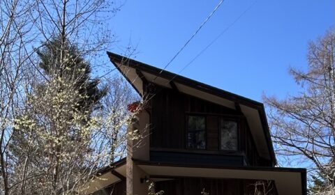 春の訪れを告げる花木　ーマンサクー